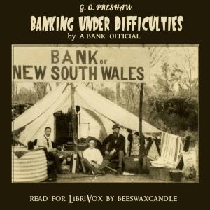 Banking Under Difficulties cover