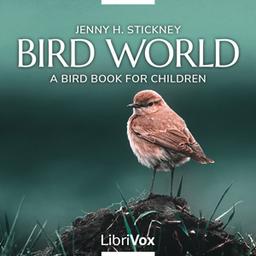 Bird World: A Bird Book for Children cover