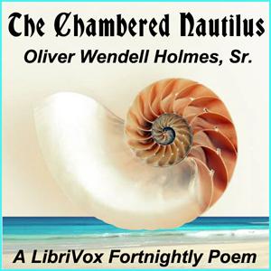 Chambered Nautilus cover