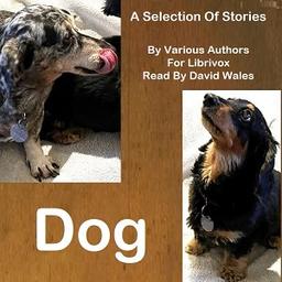 Dog: A Selection of Stories  by  Various cover