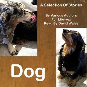 Dog: A Selection of Stories cover