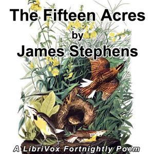 Fifteen Acres cover