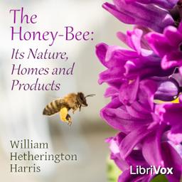 Honey-Bee: Its Nature, Homes and Products cover