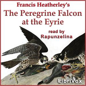 Peregrine Falcon at the Eyrie cover