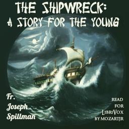 Shipwreck: A Story for the Young cover