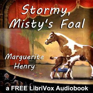 Stormy, Misty's Foal cover