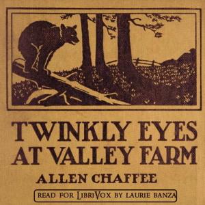 Twinkly Eyes at Valley Farm cover