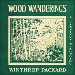 Wood Wanderings cover