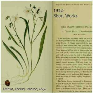1912: Short Works Collection cover