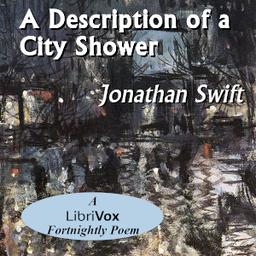 Description Of A City Shower cover