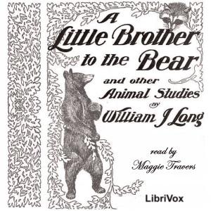 Little Brother to the Bear cover