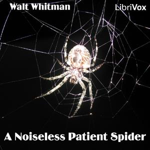 Noiseless Patient Spider cover