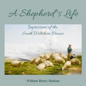 Shepherd's Life; Impressions Of The South Wiltshire Downs cover
