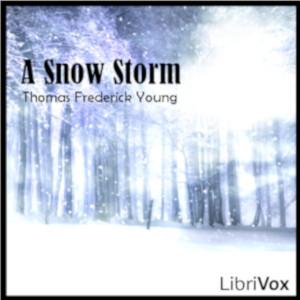 Snow Storm cover
