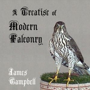 Treatise of Modern Falconry cover