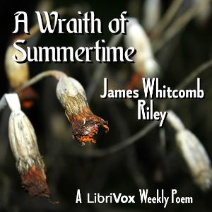 Wraith of Summertime cover