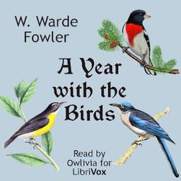 Year with the Birds  by W. Warde Fowler cover