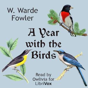 Year with the Birds cover