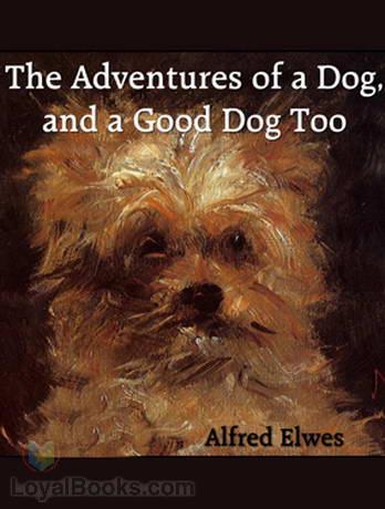 The Adventures of a Dog, and a Good Dog Too cover