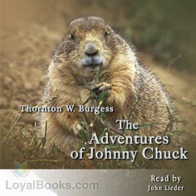 The Adventures of Johnny Chuck cover