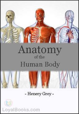 Anatomy of the Human Body cover