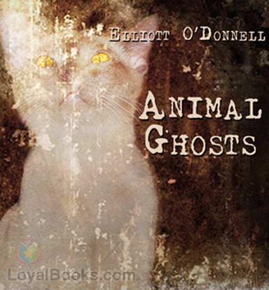 Animal Ghosts cover