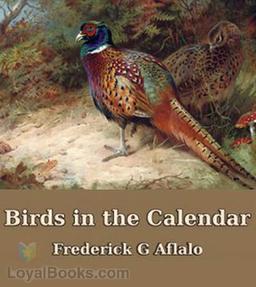 Birds in the Calendar cover