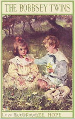 The Bobbsey Twins or Merry Days Indoors and Out cover