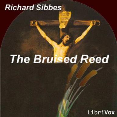The Bruised Reed cover