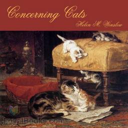 Concerning Cats cover