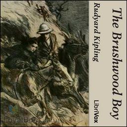 The Brushwood Boy cover