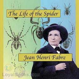 Life of the Spider cover