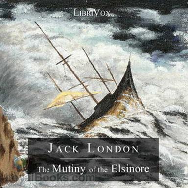 The Mutiny of the Elsinore cover
