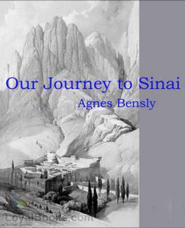 Our Journey to Sinai cover