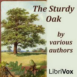 The Sturdy Oak cover
