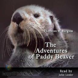 The Adventures of Paddy Beaver cover
