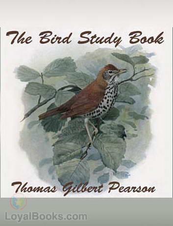 The Bird Study Book cover