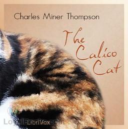 The Calico Cat cover