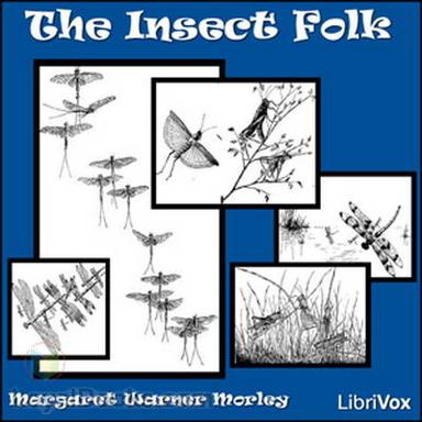 The Insect Folk cover