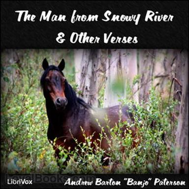 The Man from Snowy River and other Verses cover