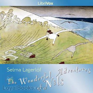 The Wonderful Adventures of Nils cover