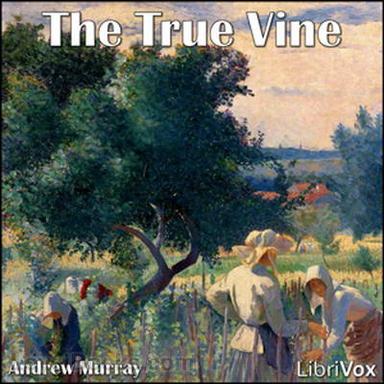 The True Vine cover