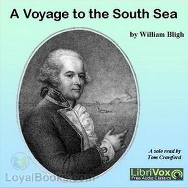 A Voyage to the South Sea cover
