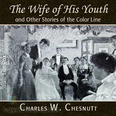 The Wife of His Youth and Other Stories of the Color Line cover