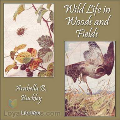 Wild Life in Woods and Fields cover