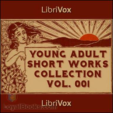 Young Adult Short Works Collection cover