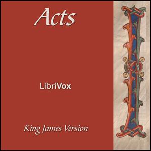 Bible (KJV) NT 05: Acts cover