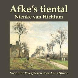 Afke's tiental  by Nienke van Hichtum cover