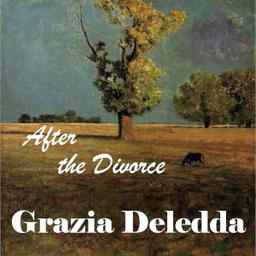 After the Divorce cover