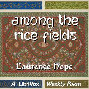 Among the Rice Fields cover